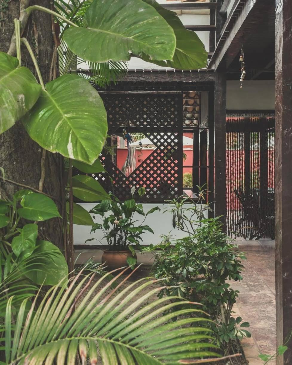 Pousada Kybalion Búzios Exterior foto
